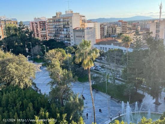 Con vistas a la glorieta - ALICANTE