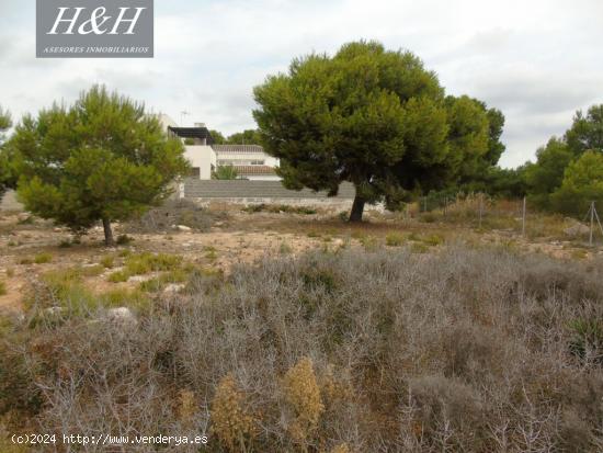 Se vende terreno urbano de 2000 m2 en Betera. / H H Asesores, Inmobiliaria en Burjassot/ - VALENCIA