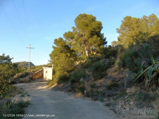 Se vende terreno urbanizable en Olocau. /H H Asesores, Inmobiliaria en Burjassot/ - VALENCIA