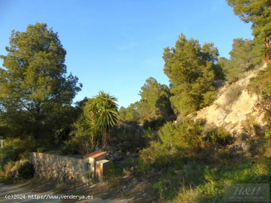 Se vende terreno urbanizable en Olocau. /H H Asesores, Inmobiliaria en Burjassot/ - VALENCIA