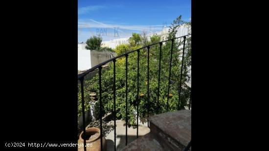 SE VENDE CASA ANTIGUA CON TERRENO DE 3 PLANTAS EN BERJA - ALMERIA