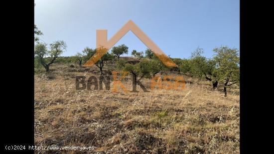 SE VENDEN 3 HÉCTAREAS DE TERRENO EN SORVILÁN -GRANADA- - GRANADA