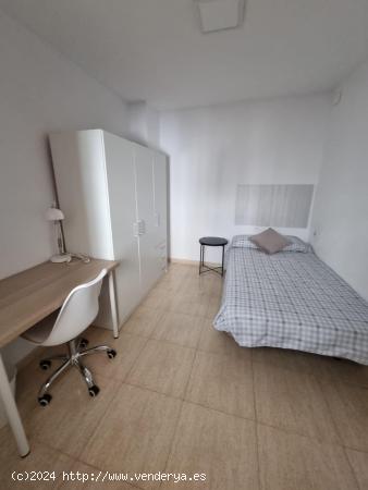 HABITACION DISPONIBLE PARA ESTUDIANTE - ALICANTE