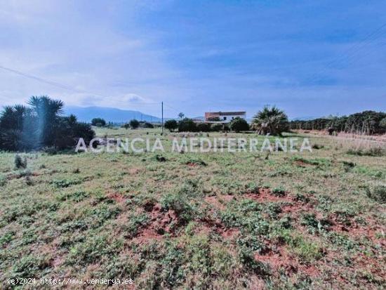 Finca rústica en venta en Les Bovetes - La Felicidad - ALICANTE