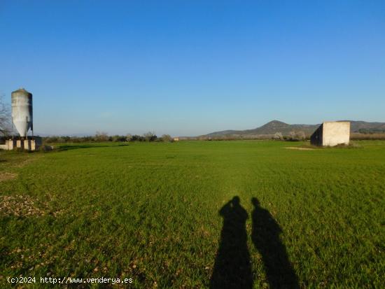 FINCA CON GRANJAS PORCINAS EN TERMINO DE GODALL - TARRAGONA