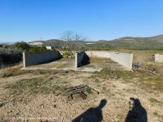 FINCA RUSTICA EN ULLDECONA - TARRAGONA