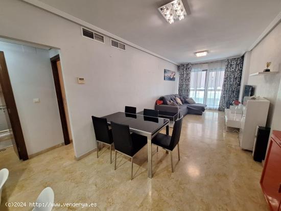 Apartamento de 2 dormitorios en Torrevieja en primera línea de mar - ALICANTE