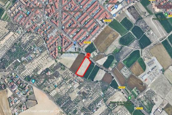 Parcela de 5000 metros junto al mercadona de Hijar - GRANADA