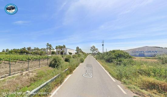 TERRENO RURAL POR LA CARRETERA DE CHIPIONA - CADIZ