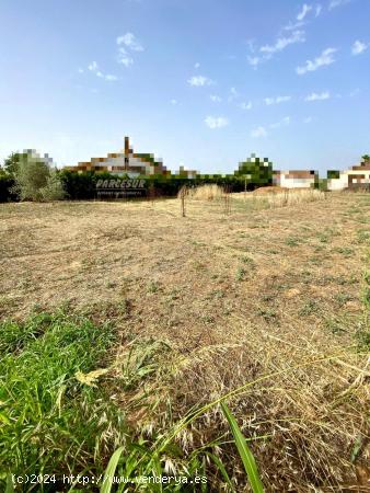  ZONA ALAMILLO - Villarrubia . Parcela de terreno de 1.250 m2 con agua de comunidad - CORDOBA 