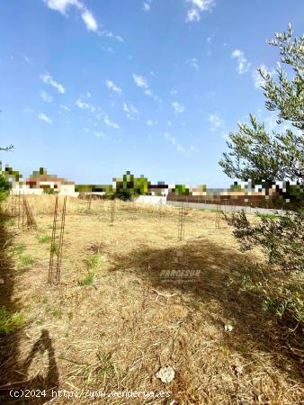 ZONA ALAMILLO - Villarrubia . Parcela de terreno de 1.250 m2 con agua de comunidad - CORDOBA