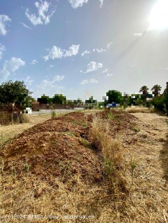 ZONA ALAMILLO - Villarrubia . Parcela de terreno de 1.250 m2 con agua de comunidad - CORDOBA