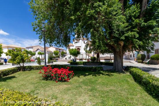 CASA EN ARENAS DEL REY 3 PLANTAS Y SEMISÓTANO - GRANADA