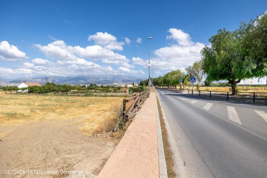 PARCELA DE 5000 EN HIJAR, ZONA MERCADONA - GRANADA