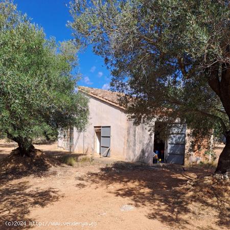 Se Vende en L' Aldea - TARRAGONA