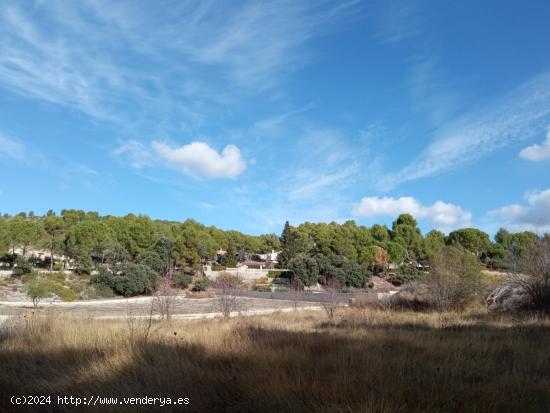 PARCELA EN EL SARGENTO - ALCOY - ALICANTE