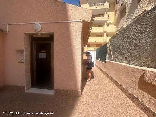 ESTUDIO EN SEGUNDA LINIA DE PLAYA DE LA MATA - ALICANTE