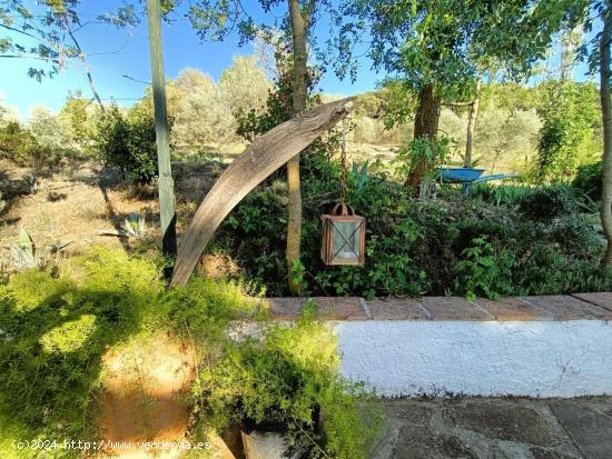  FINCA RUSTICA CON CASA BUSCA PROPIETARIO¡¡¡¡ - MALAGA 