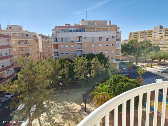 Se vende piso en muy buen estado en Torrevieja centro - ALICANTE