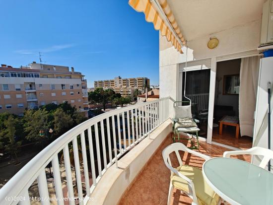 Se vende piso en muy buen estado en Torrevieja centro - ALICANTE