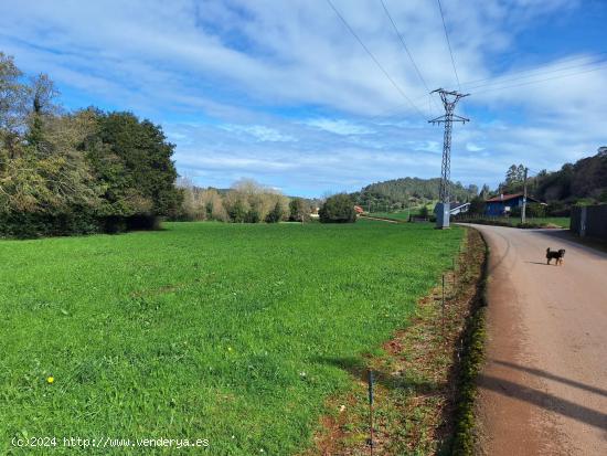 Venta parcela rustica urbanizable - CANTABRIA