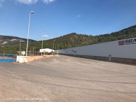 Se Vende en Lucena del Cid - CASTELLON