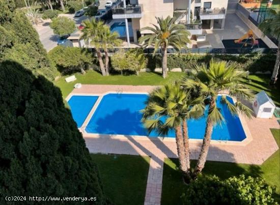 ALQUILER DE LINDO PISO REFORMADO ZONA PAU V EN URBANIZACION - ALICANTE