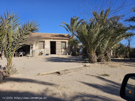 Casa para reformar con parcela  en el campo de Guardamar - ALICANTE