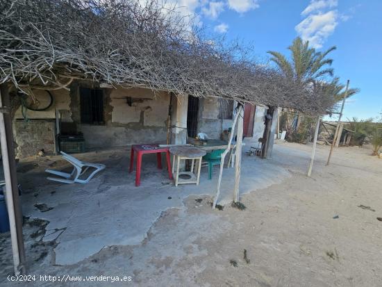 Casa para reformar con parcela  en el campo de Guardamar - ALICANTE