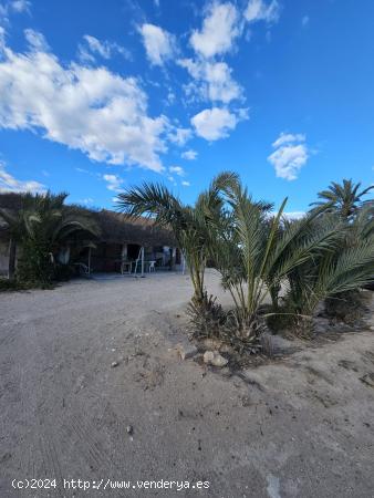 Casa para reformar con parcela  en el campo de Guardamar - ALICANTE