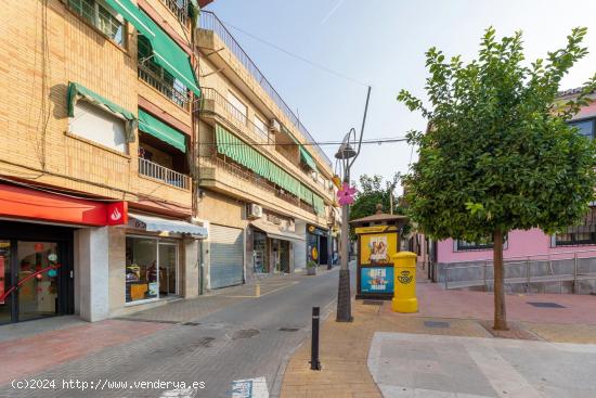 PLENO CENTRO DE PELIGROS - GRANADA