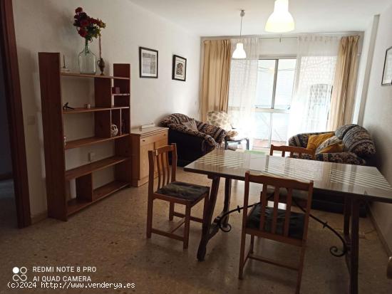 Piso de 3 habitaciones en alquiler cerca de Triana - SEVILLA