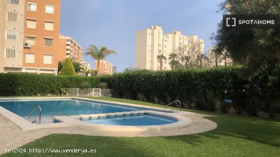 Piso completo de 1 dormitorio en Alicante (Alacant) - ALICANTE