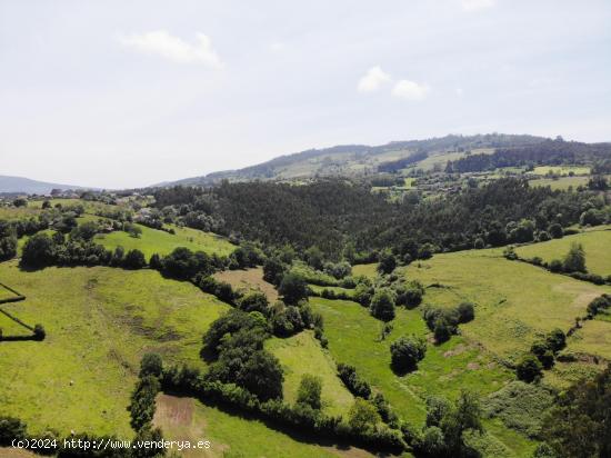 TERRENO RUSTICO - ASTURIAS