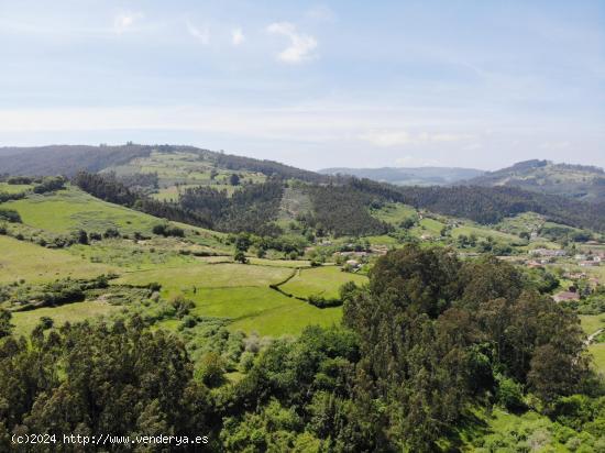 TERRENO RUSTICO - ASTURIAS