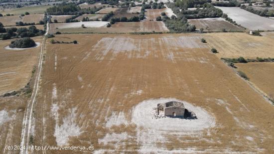 Terreno con Proyecto y licencia en la tranquilidad de Llubi - Son Fiolet - BALEARES