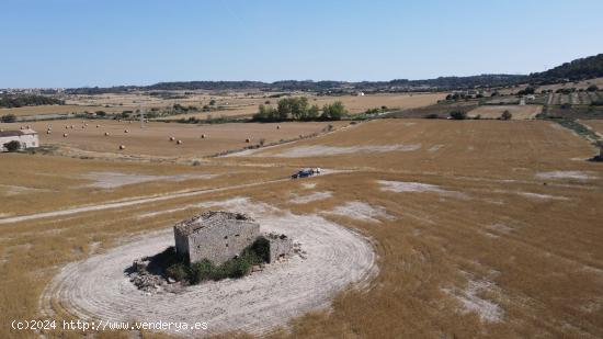 Terreno con Proyecto y licencia en la tranquilidad de Llubi - Son Fiolet - BALEARES