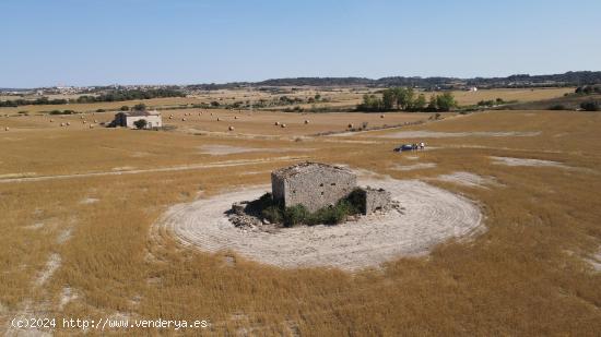 Terreno con Proyecto y licencia en la tranquilidad de Llubi - Son Fiolet - BALEARES