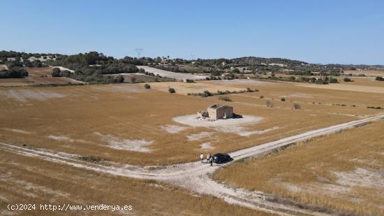 Terreno con Proyecto y licencia en la tranquilidad de Llubi - Son Fiolet - BALEARES