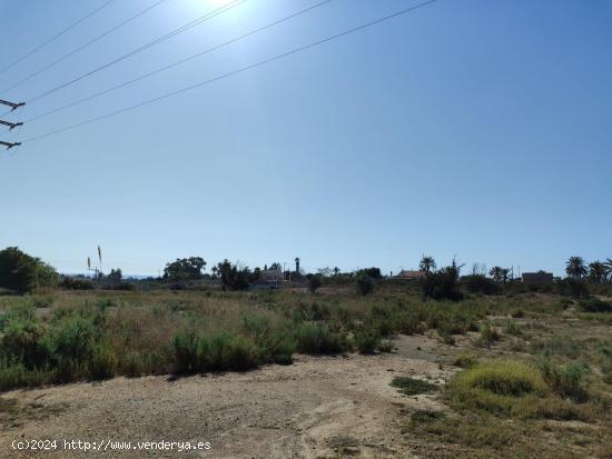 Parcela de terreno urbanizable en La Marina, Alicante, Costa Blanca - ALICANTE