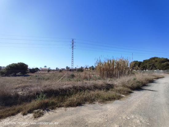 Parcela de terreno urbanizable en La Marina, Alicante, Costa Blanca - ALICANTE