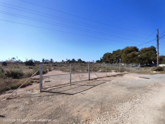 Parcela de terreno urbanizable en La Marina, Alicante, Costa Blanca - ALICANTE