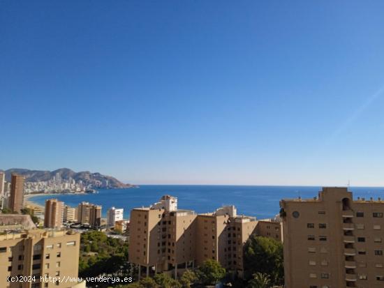 SE VENDE PISO EN PONIENTE  COBLANCA 32  - ALICANTE