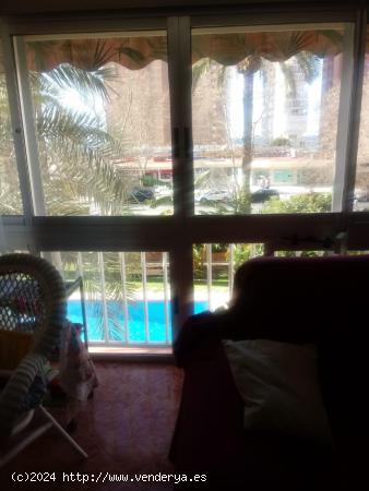 SE VENDE UN PISO EN LEVANTE, BENIDORM - ALICANTE