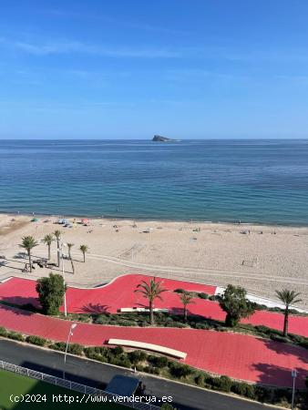 SE VENDE PISO EN LA PRIMERA LÍNEA DE LA PLAYA PONIENTE, BENIDORM - ALICANTE