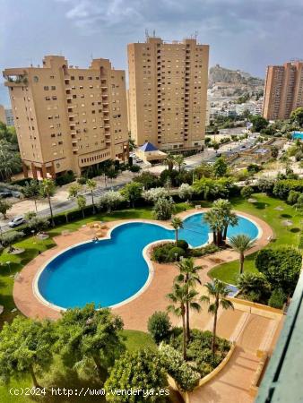 SE VENDE UN PISO EN PONIENTE, BENIDORM - ALICANTE