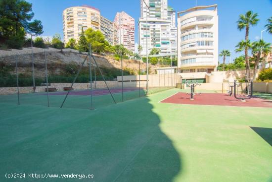 SE VENDE EL PISO EN LA PRIMERA LÍNEA DE LA PLAYA PONIENTE, BENIDORM - ALICANTE