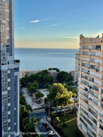 SE VENDE EL PISO CON VISTAS AL MAR EN PONIENTE, BENIDORM - ALICANTE