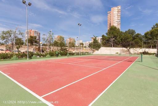 SE ALQUILA UN PISO EN LA PRIMERA LÍNEA DE PONIENTE, BENIDORM - ALICANTE