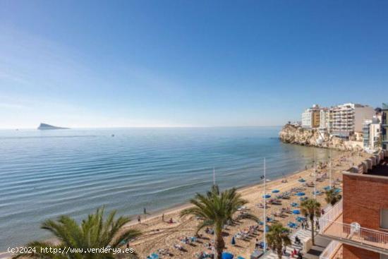  PISO EN VENTA EN PLAYA LEVANTE, BENIDORM - ALICANTE 